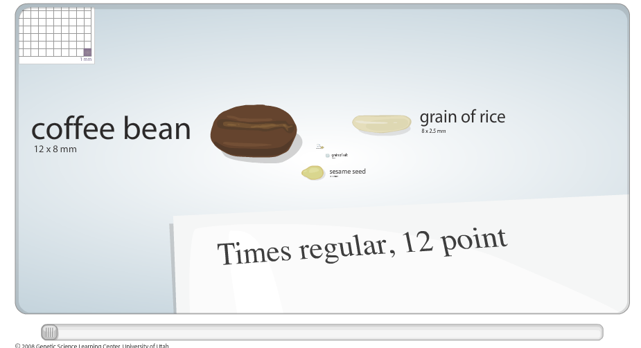 Screen shot of Flash-based graph on relative scale of small objects